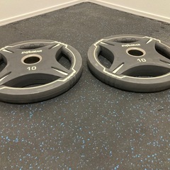 バーベルプレート(50mm用)10kg×2の画像