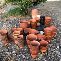 植木鉢の画像