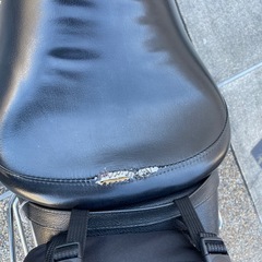 SUZUKI ボルティー　250cc USB ETC 付きの画像