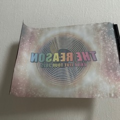 【ライブやコレクションに】　EXILE LIVE TOUR 2025年　THE REASON フラッグの画像