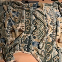 毛布　　もらってくださいの画像