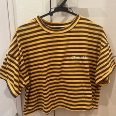 Tシャツ3点セット（女の子用）の画像