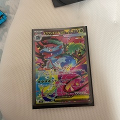 メガサンギラス sarの画像