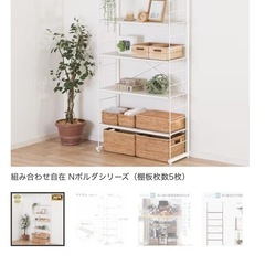 Nポルダ　白　80cmの画像