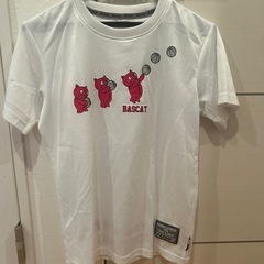 バスケ用ウエア上下セット
の画像