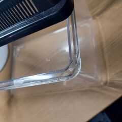 虫かご　プラ容器【単品200円から】の画像