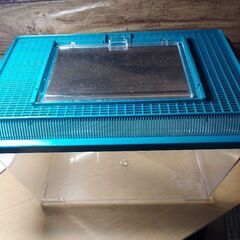 虫かご　プラ容器【単品200円から】の画像