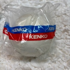 新品　ソフトボールの画像