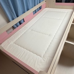 システムベットの画像