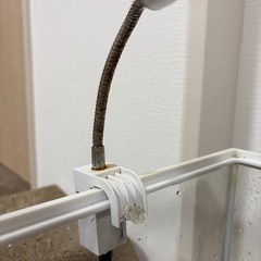 Lサイズ水槽　その他付属品の画像