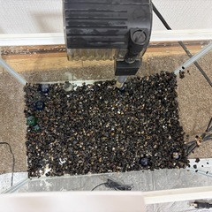 Lサイズ水槽　その他付属品の画像