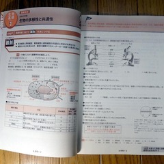 大学受験共通テスト対策 生物基礎問題集 解答解説つき 2冊の画像