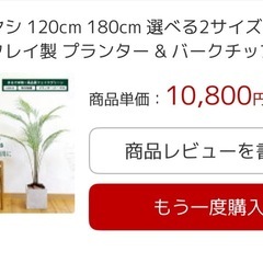 観葉植物　フェイク　美品の画像