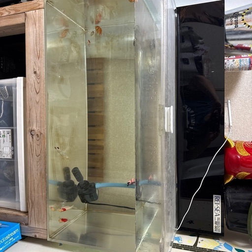 90センチ水槽セット (chii) 逆井のその他の中古あげます・譲ります