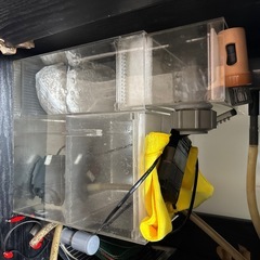 60センチワイドオーバーフロー水槽の画像