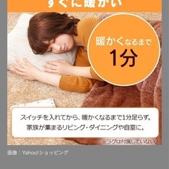 ホットカーペット　アイリスオーヤマ  2畳　新品未使用　の画像