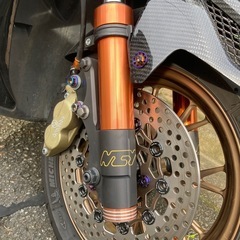 シグナス(フルカスタム)の画像