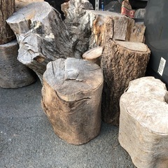 丸太 切株など 無料❗️薪🪵としても！インテリアとしても！お好きなだけお持ち帰りください☺️の画像