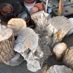 丸太 切株など 無料❗️薪🪵としても！インテリアとしても！お好きなだけお持ち帰りください☺️の画像