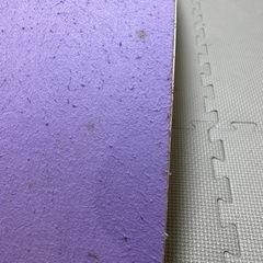 バランスボートの画像