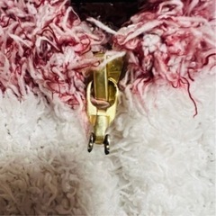 ジェラートピケ　セットアップ　クリスマス限定  gelato piqueの画像