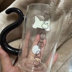 ｽﾀﾊﾞ×ﾊﾛｳｨﾝ2025黒猫ｸﾞﾗｽﾏｸﾞの画像