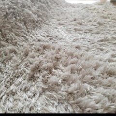 フランフラン　カステラグ の画像