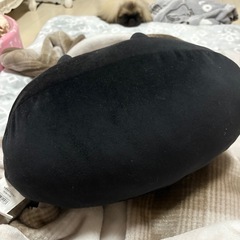 ニトリ モチモチクッション 黒猫🐈‍⬛の画像