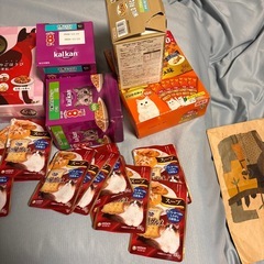 猫  フードの画像