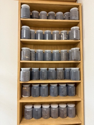 クワガタ　引退品