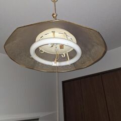 事実上０円❗無料電化製品沢山あります❗全てジャンク❗ドライヤー各種、DVDプレイヤー、冷凍庫、加湿器、レトロ照明等❗商品説明欄必読❗の画像