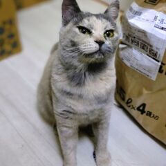 珍しいパステル柄の個性派女子☆京ちゃん