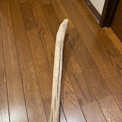 流木の画像