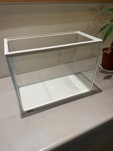 GEX＊アクリル水槽＊w300 (mst) 吉備津のその他の中古あげます・譲り