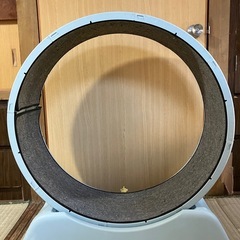 猫　ホイールランニングの画像