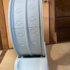 猫　ホイールランニングの画像