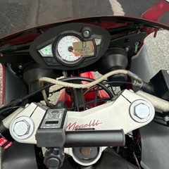 【個人出品】メガリ250Ｒ　自賠責Ｒ9.8 実働の画像