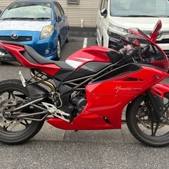 【個人出品】メガリ250Ｒ　自賠責Ｒ9.8 実働の画像