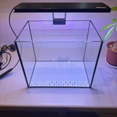 GEX＊アクアリスタ＊ガラス水槽の画像