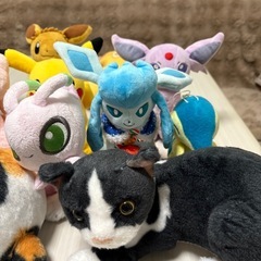 まとめ売り　ぬいぐるみ　ポケモン　犬　猫の画像
