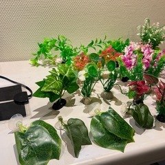 水槽の造花.水草いろいろまとめての画像