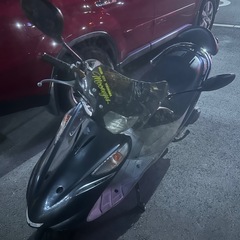 アドレス v125 gの画像