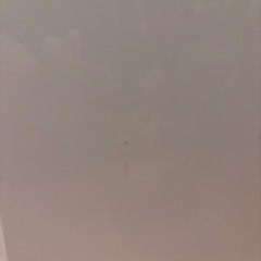 アイリスオーヤマ　集塵特化型空気清浄機　PM2.5対応の画像