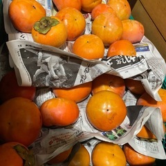 今年最後　和歌山県　九度山産　甘柿　有名　ブランド　旬　フルーツ　富有柿の画像
