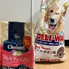 ペット　犬　エサ　餌の画像