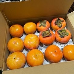 和歌山県　九度山産　名産　富有柿　甘柿　人気　フルーツ　11/29収穫の画像
