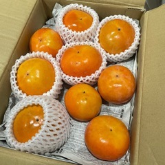和歌山県　九度山産　名産　富有柿　甘柿　人気　フルーツ　11/29収穫の画像