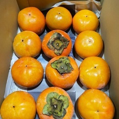 11/29収穫　和歌山県　九度山産　富有柿　甘柿　毎年人気　フルーツ　取れたての画像