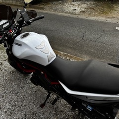 車検R9.4 Kawasaki ER-4n 2012年式 走行22,586kmの画像