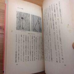 『アレルギーのはなし』渡辺勝之延　同文書院の画像